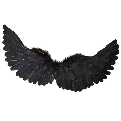 *Preventa* Disfraz Alas Negras 180X40Cm