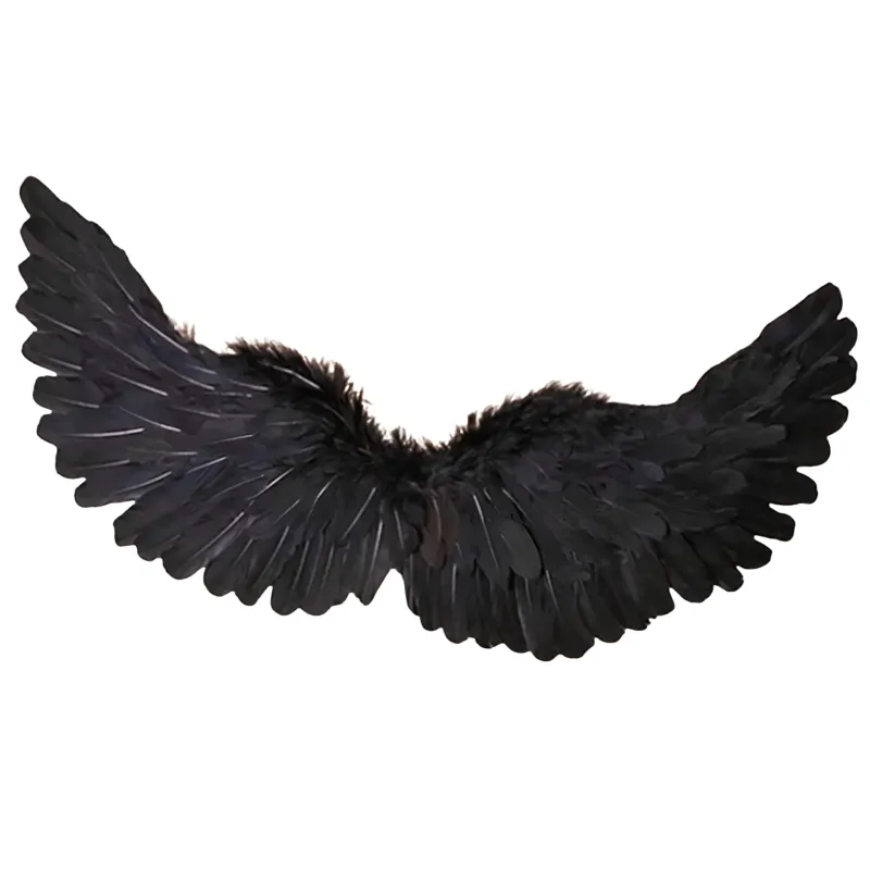 *Preventa* Disfraz Alas Negras 180X40Cm