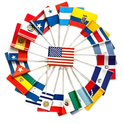 PINCHE BANDERITA COPETIN 12 UNIDADES PAISES SURTIDOS X10